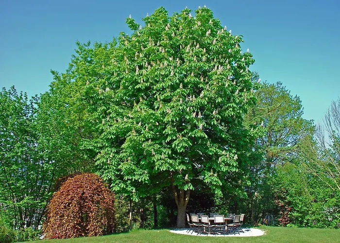 Pensjonat Hauptmann 4*