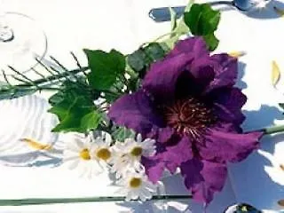 Hauptmann 4* Pörtschach am Wörthersee